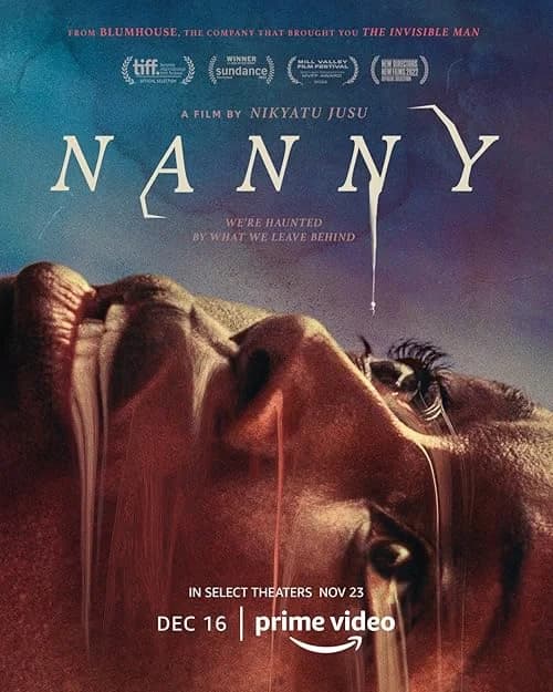 Nanny film posteri